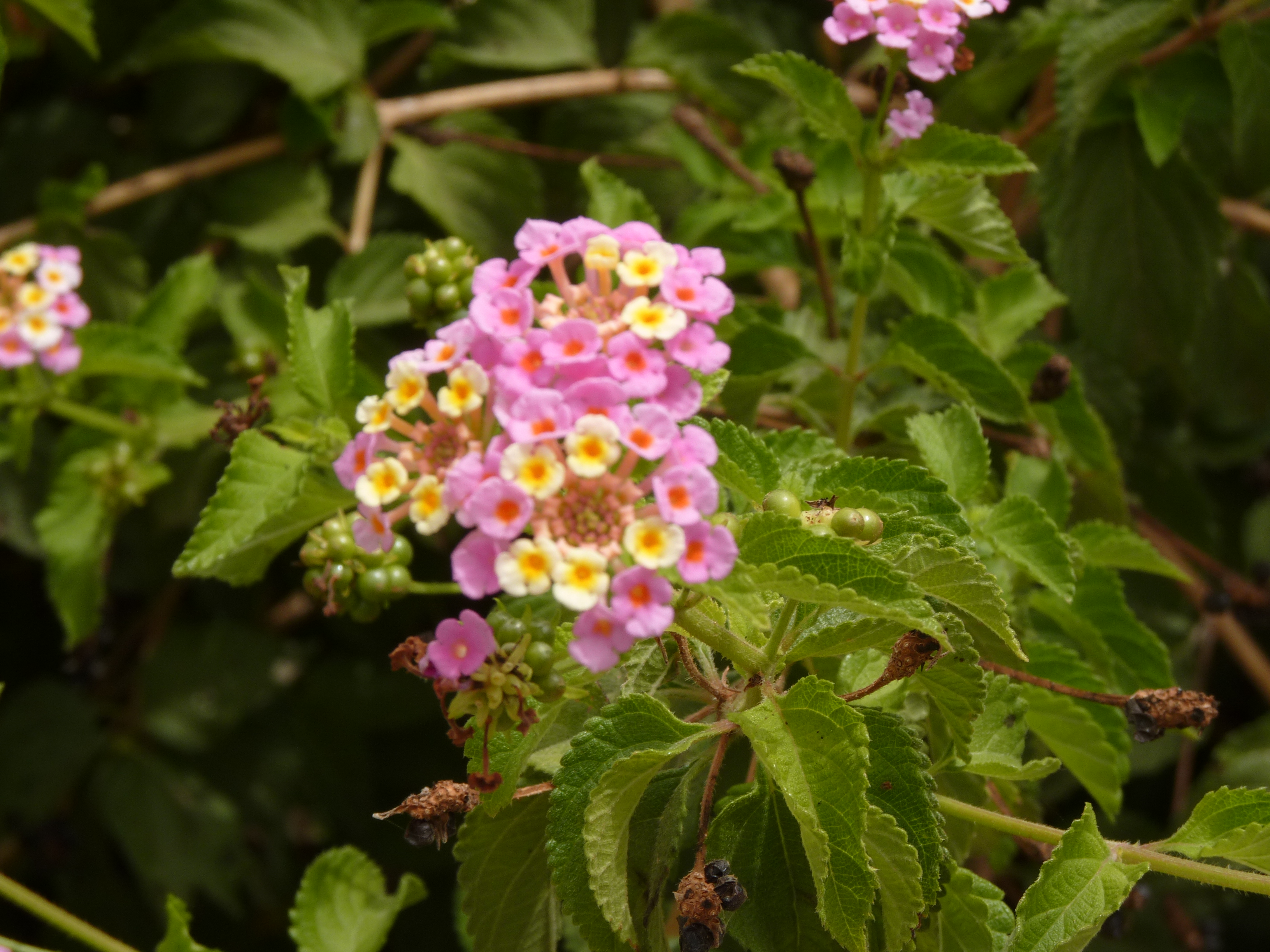 No s'ha trobat l'arxiu